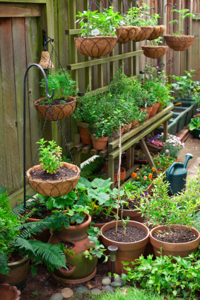 Idea Small Vegetable Container Garden